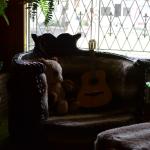 OTRA2014CN_0159 (August 27, 2014)